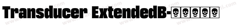 Transducer ExtendedB字体转换
